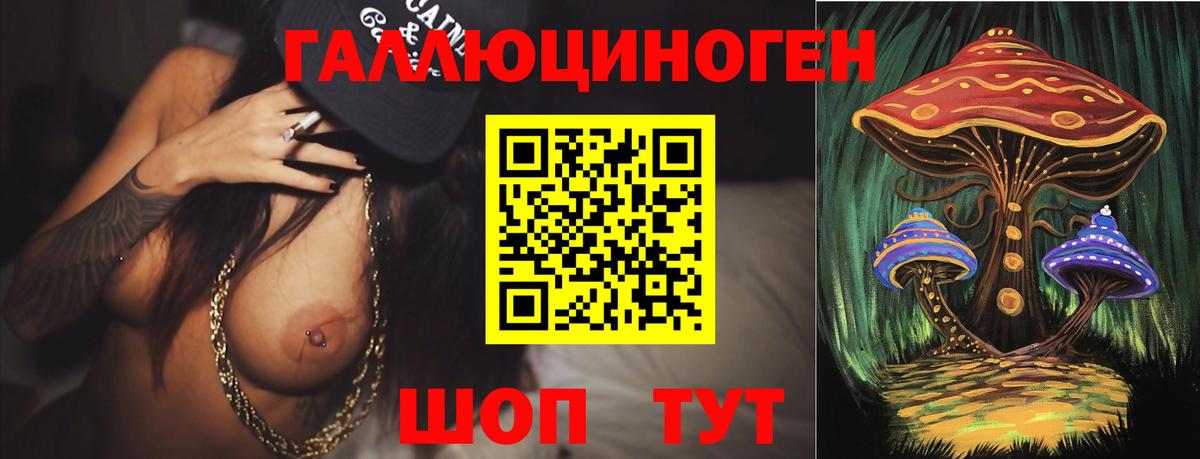 Галлюциногенные грибы мухоморы Волхов